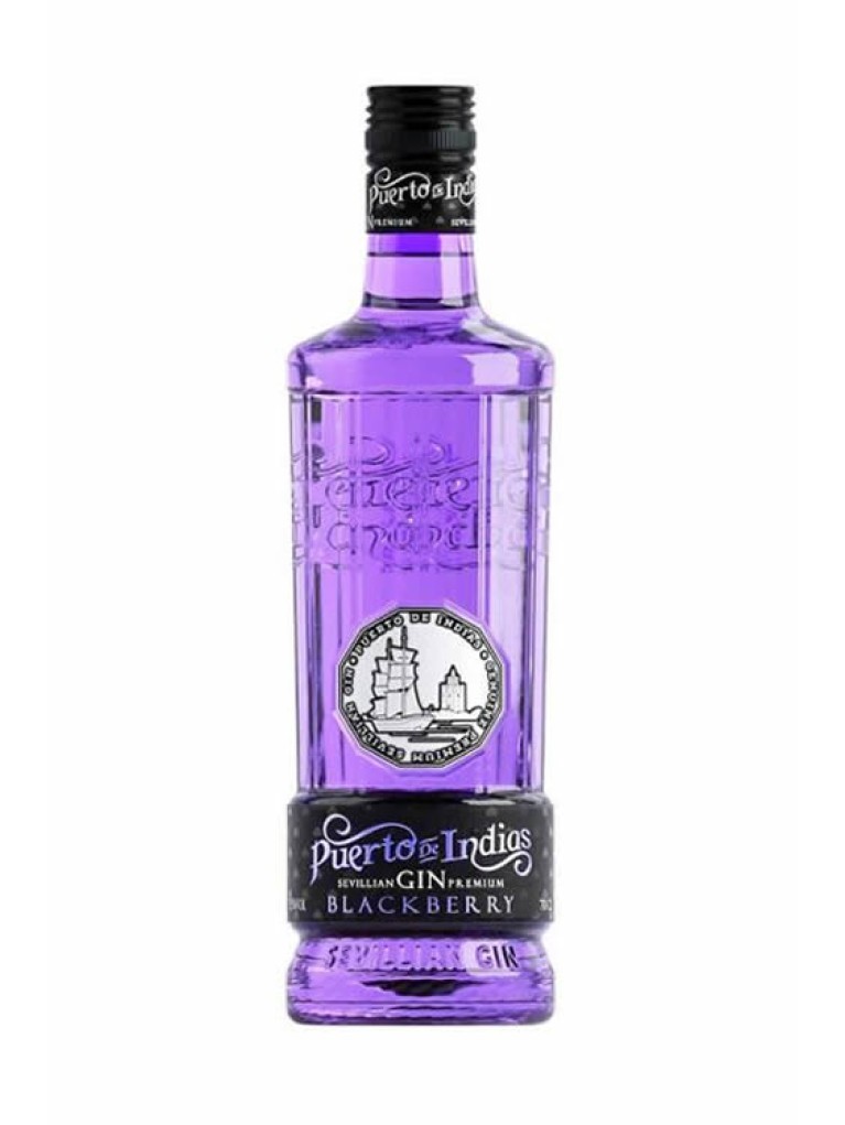 Ginebra Puerto De Indias Exótica Blackberry 1L